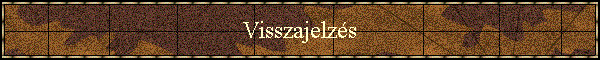 Visszajelzs