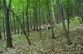 P1030085_resize