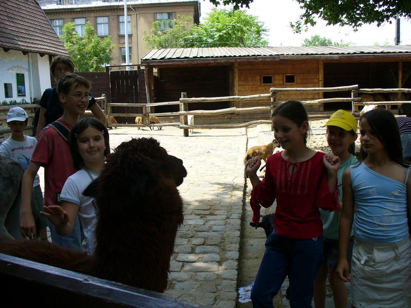 P1030220_resize.JPG