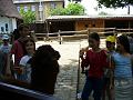 P1030220_resize