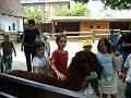 P1030221_resize