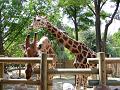 P1030228_resize