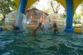 Balaton 136